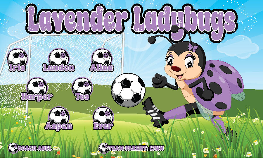 3'x5' Vinyl Banner - Lavender Ladybugs