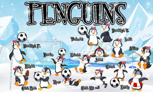 3'x5' Vinyl Banner - Penguins