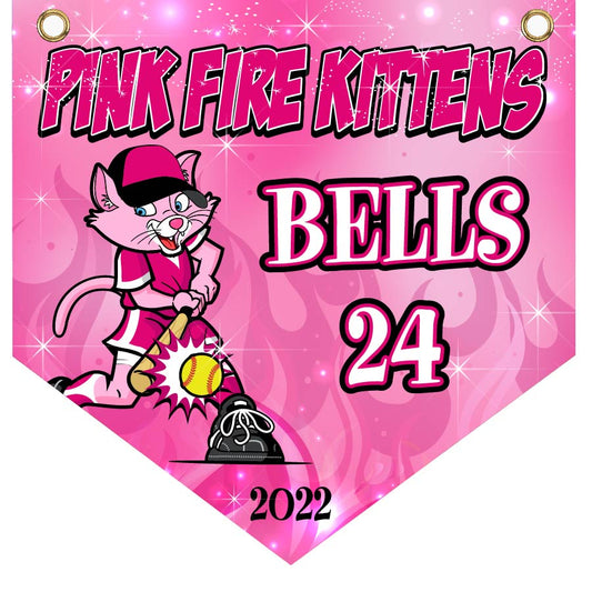 16" x 16" Home Plate Pennant - Pink Fire Kittens