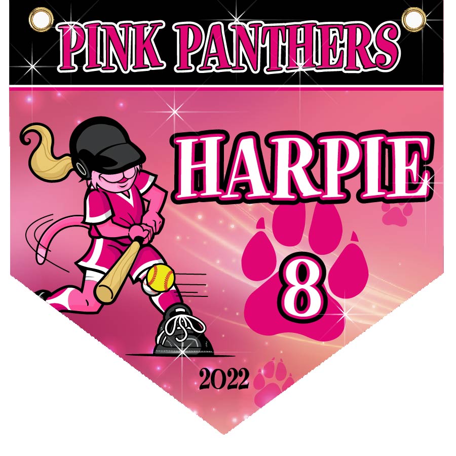 16" x 16" Home Plate Pennant - Pink Panthers