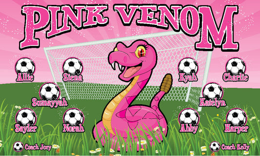 3'x5' Vinyl Banner - Pink Venom