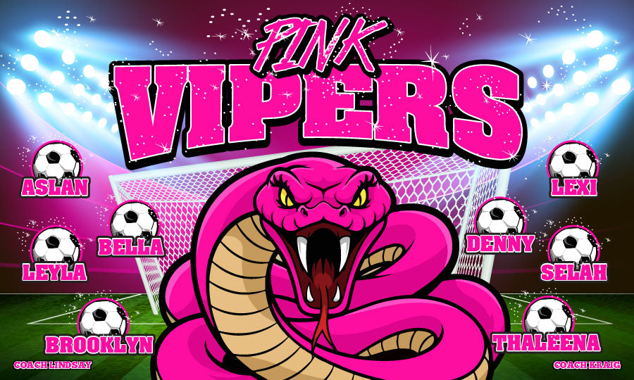 3'x5' Vinyl Banner - Pink Vipers