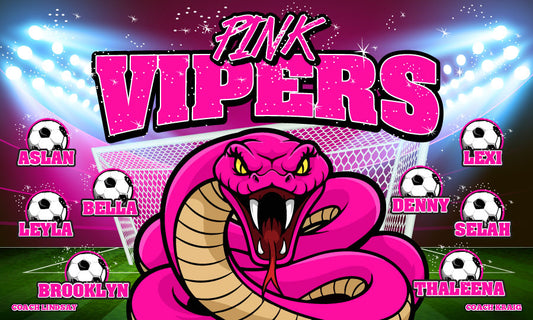 3'x5' Vinyl Banner - Pink Vipers