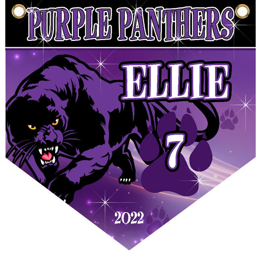 16" x 16" Home Plate Pennant - Purple Panthers