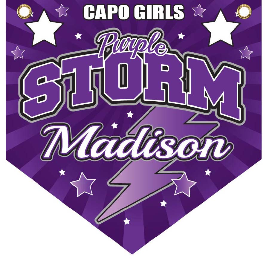 16" x 16" Home Plate Pennant - Purple Storm