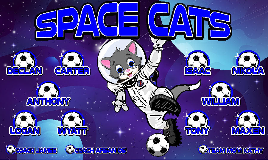 3'x5' Vinyl Banner - Space Cats