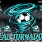 3'x5' Vinyl Banner - Teal Tornados
