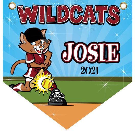 16" x 16" Home Plate Pennant - Wild Cats (Field)