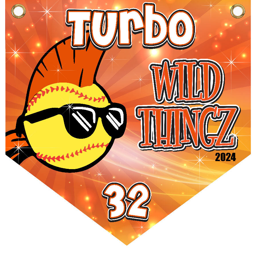 16" x 16" Home Plate Pennant - Wild Thingz