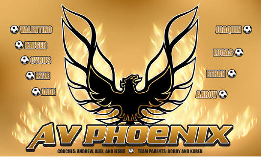 3'x5' Vinyl Banner - AV Phoenix