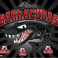 3'x5' Vinyl Banner - Black Barracudas