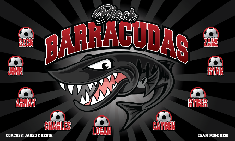 3'x5' Vinyl Banner - Black Barracudas