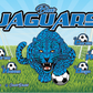 3'x5' Vinyl Banner - Blue Jaguars