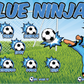 3'x5' Vinyl Banner - Blue Ninjas