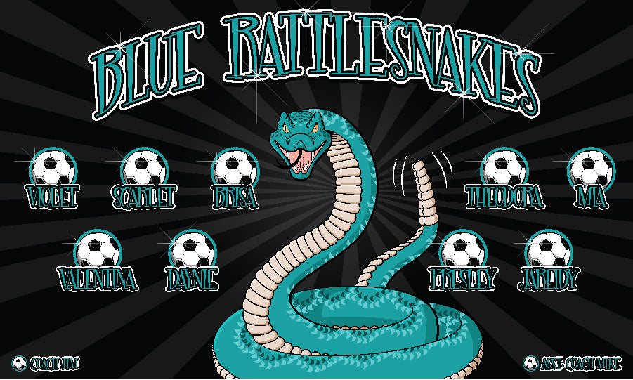 3'x5' Vinyl Banner - Blue Rattlesnakes