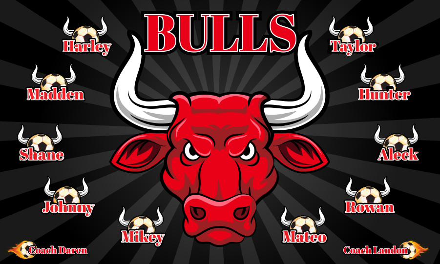 3'x5' Vinyl Banner - Bulls