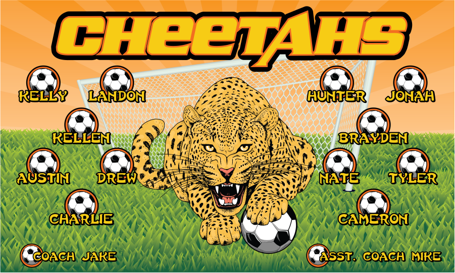 3'x5' Vinyl Banner - Cheetahs