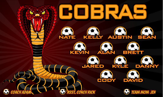 3'x5' Vinyl Banner - Cobras