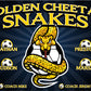 3'x5' Vinyl Banner - Golden Cheetah Snakes