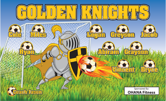 3'x5' Vinyl Banner - Golden Knights