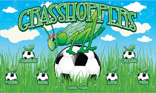 3'x5' Vinyl Banner - Grasshoppers