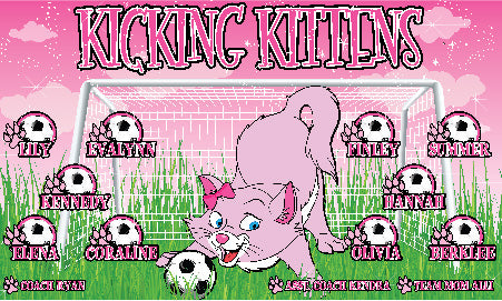 3'x5' Vinyl Banner - Kicking Kittens