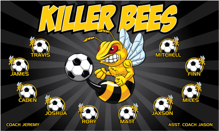 3'x5' Vinyl Banner - Killer Bees