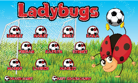 3'x5' Vinyl Banner - Ladybugs