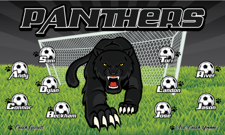 3'x5' Vinyl Banner - Panthers