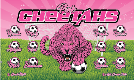 3'x5' Vinyl Banner - Pink Cheetahs