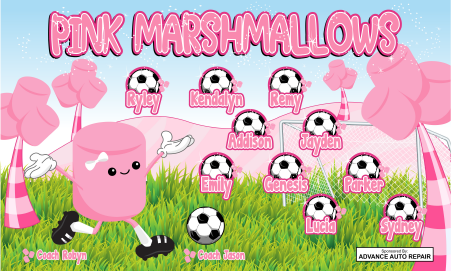 3'x5' Vinyl Banner - Pink Marshmallows