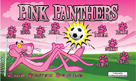 3'x5' Vinyl Banner - Pink Panthers
