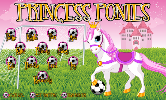 3'x5' Vinyl Banner - Princess Ponies