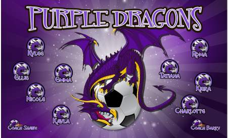 3'x5' Vinyl Banner - Purple Dragons