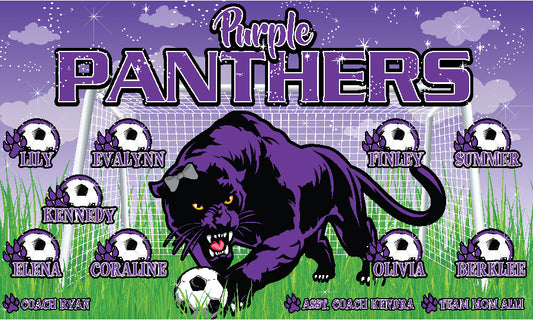 3'x5' Vinyl Banner - Purple Panthers
