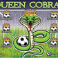3'x5' Vinyl Banner - Queen Cobras