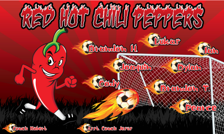 3'x5' Vinyl Banner - Red Hot Chili Peppers