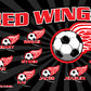 3'x5' Vinyl Banner - Red Wings