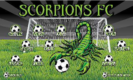 3'x5' Vinyl Banner - Scorpions