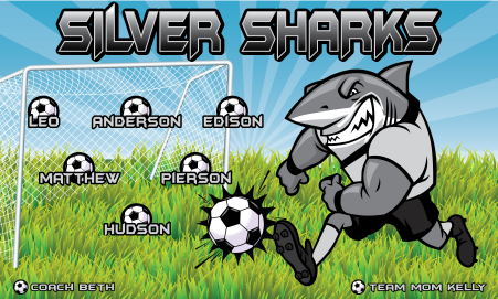 3'x5' Vinyl Banner - Silver Sharks