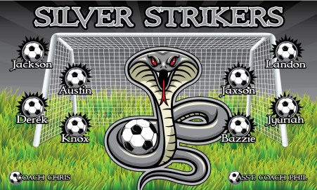 3'x5' Vinyl Banner - Silver Strikers