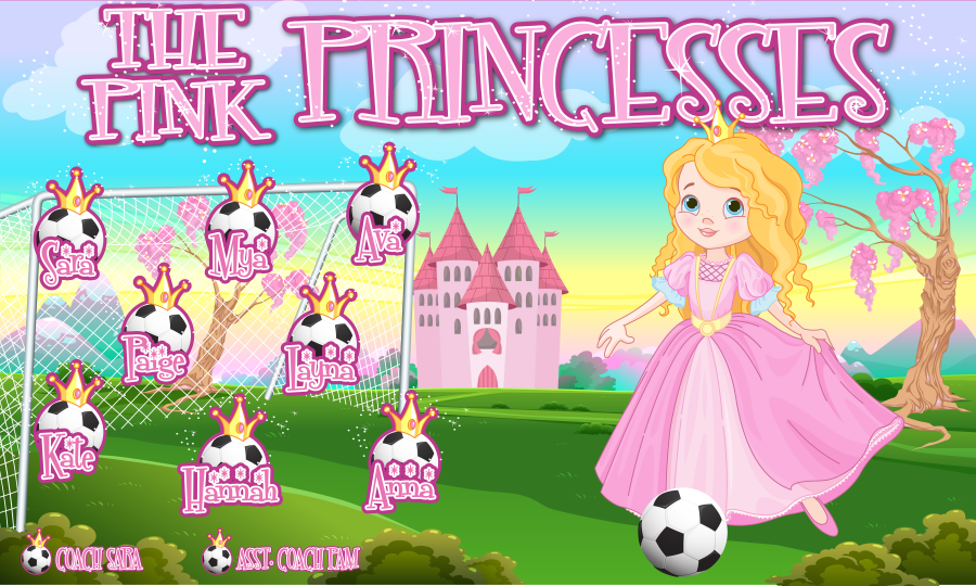 3'x5' Vinyl Banner - The Pink Princesses